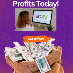 Maximize eBay Profits Today! PLR MRR